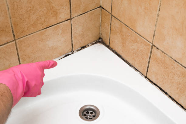 Best Mold Testing  in Scott, LA
